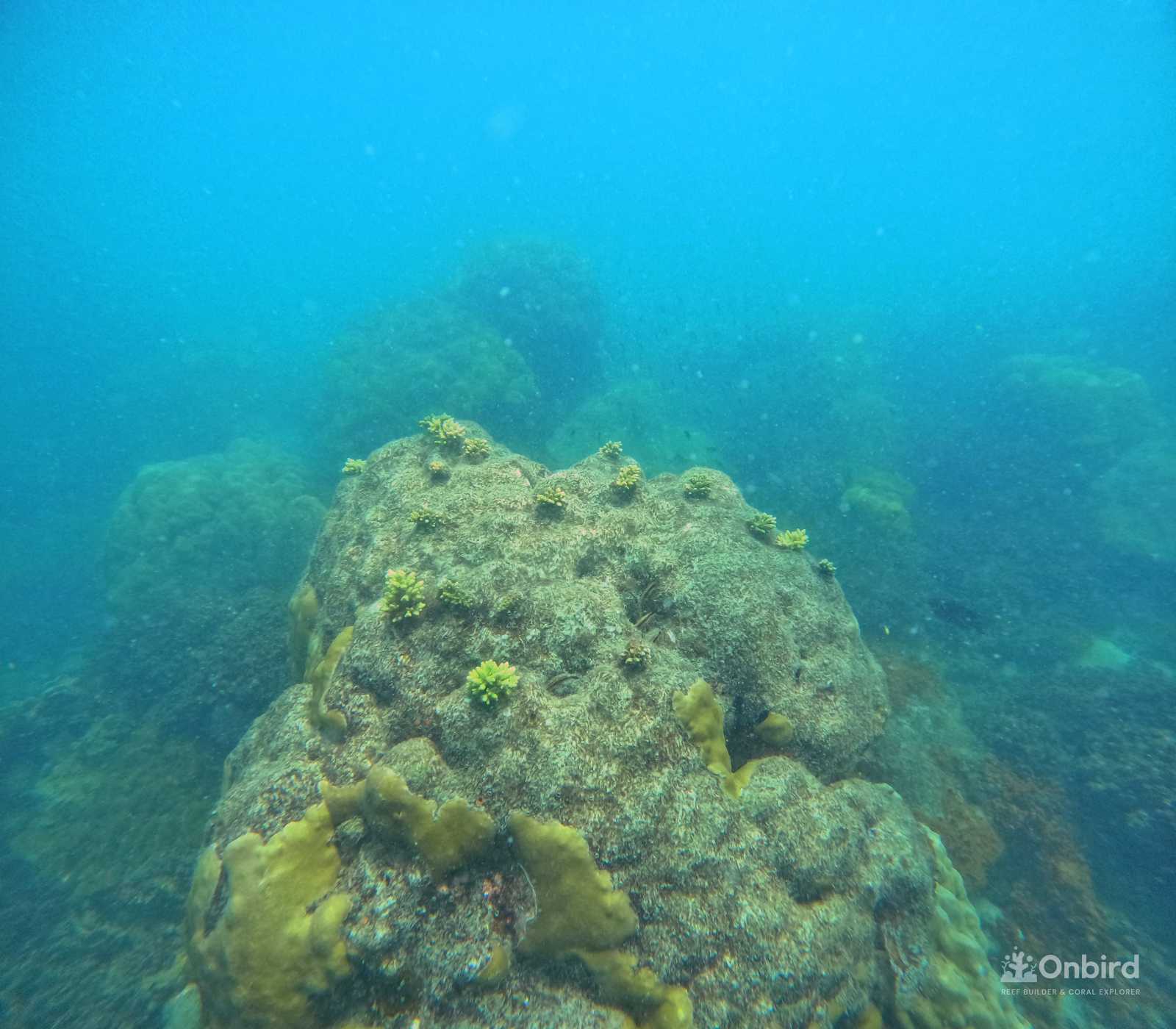 Dcim100goprogopr9973.jpg