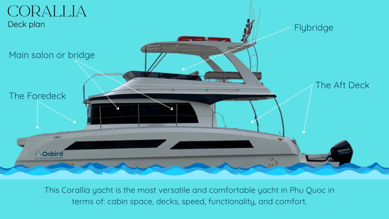 OnBird motor yacht Corallia Snorkeling in Phu Quoc island Vietnam OnBird motor yacht Corallia Snorkeling in Phu Quoc island Vietnam