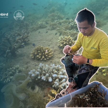 Thumbnail Cap Nhat Cay Trong