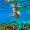life-style Discovery snorkeling and island hopping in Phu Quoc Island Vietnam