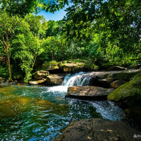 [Hiking] Fairy Stream – Suối Tiên Phú Quốc: A Hidden Forest Escape in the Heart of Nature