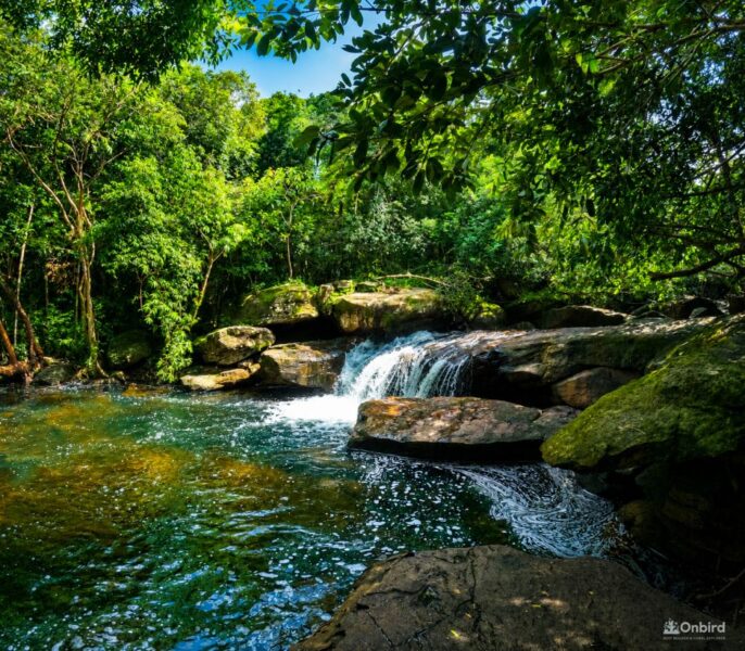 [Hiking] Fairy Stream – Suối Tiên Phú Quốc: A Hidden Forest Escape in the Heart of Nature