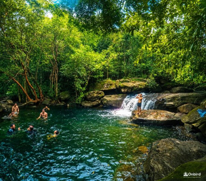 [Hiking] Fairy Stream – Suối Tiên Phú Quốc: A Hidden Forest Escape in the Heart of Nature