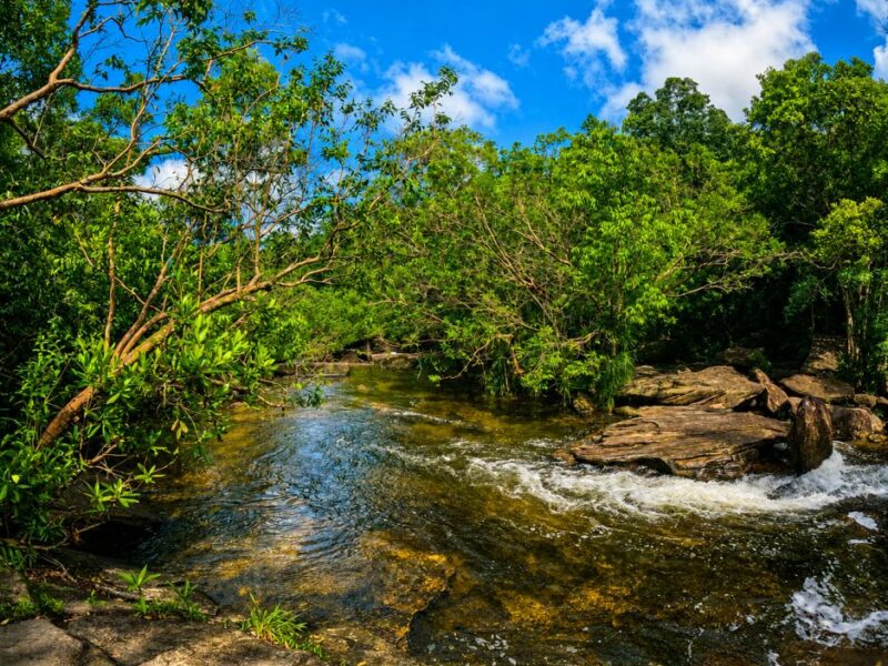[Hiking] Fairy Stream – Suối Tiên Phú Quốc: A Hidden Forest Escape in the Heart of Nature