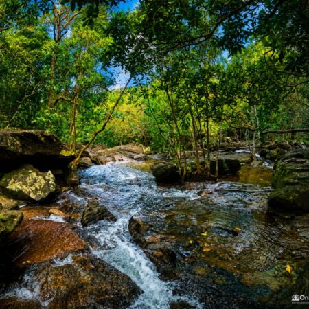 [Hiking] Fairy Stream – Suối Tiên Phú Quốc: A Hidden Forest Escape in the Heart of Nature