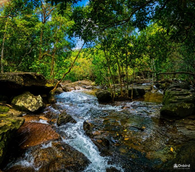 [Hiking] Fairy Stream – Suối Tiên Phú Quốc: A Hidden Forest Escape in the Heart of Nature
