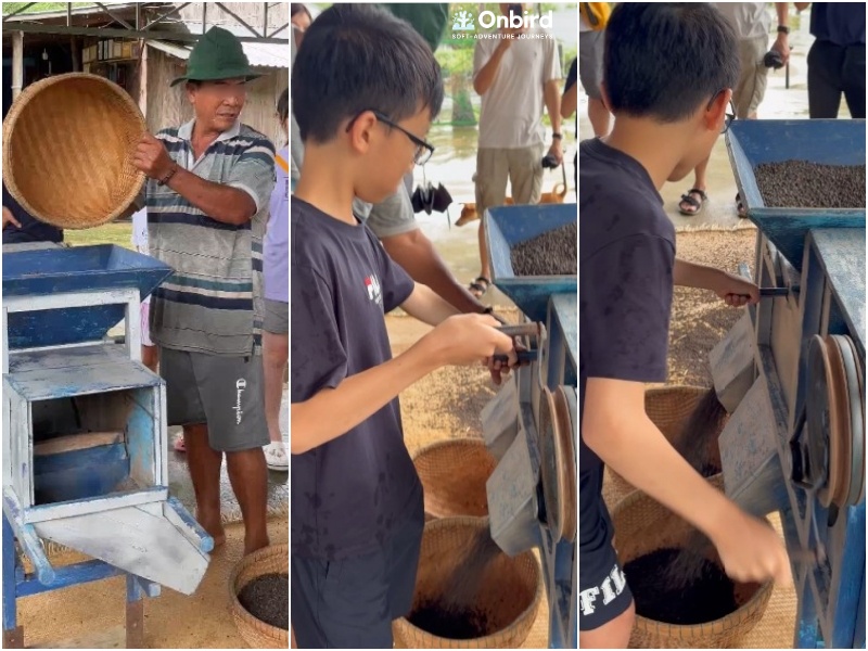 Young children also watched and tried the traditional sorting machine at Phu Quoc pepper local farm