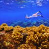 [Island Explorer] Island Hopping: 4 Islands and 2 Coral Reefs & Relaxing (Max 10 PAX)
