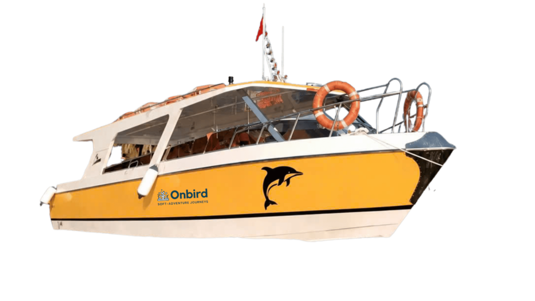 Onbird Speedboat Fleet for island hopping, discovery snorkeling in Phu Quoc Island