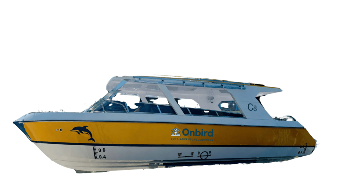 Onbird Speedboat Fleet for island hopping, discovery snorkeling in Phu Quoc Island