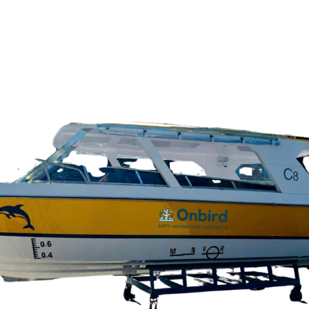 Onbird Speedboat Fleet