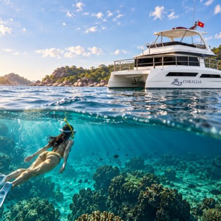 Hinh Ket Hop Corallia Snorkeling